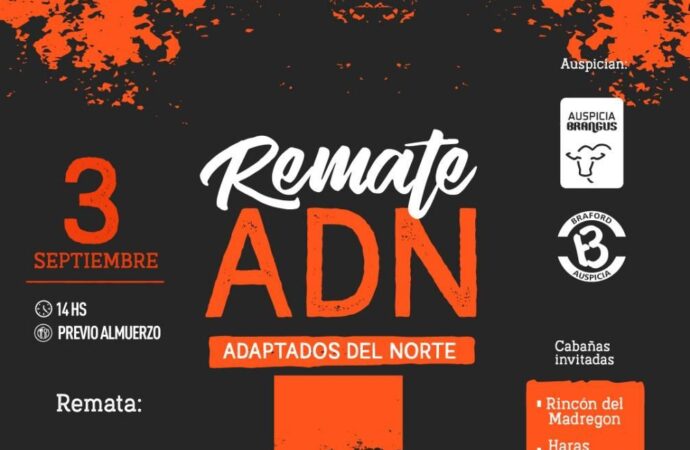 Se viene el remate ganadero de Adaptados del Norte, con Brangus, Braford, equinos y búfalos entre las ofertas