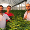 Producen 4000 toneladas del superfruto que tiene como “embajador” a Abel Pintos
