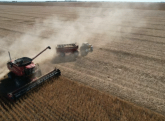 “Hace falta un esquema diferenciado”: el pedido del campo para las economías del NOA y el NEA