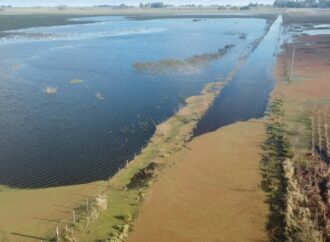 Inundaciones en el centro bonaerense: más de un millón de hectáreas bajo el agua