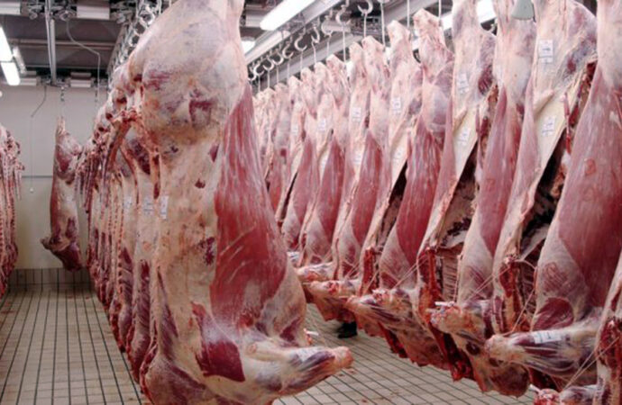 La carne argentina recupera terreno afuera, pero preocupa el impacto en el stock bovino