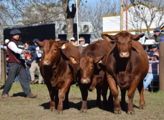 «La ganadería está pasando por un momento excelente», aseguró el presidente de la Sociedad Rural de Corrientes