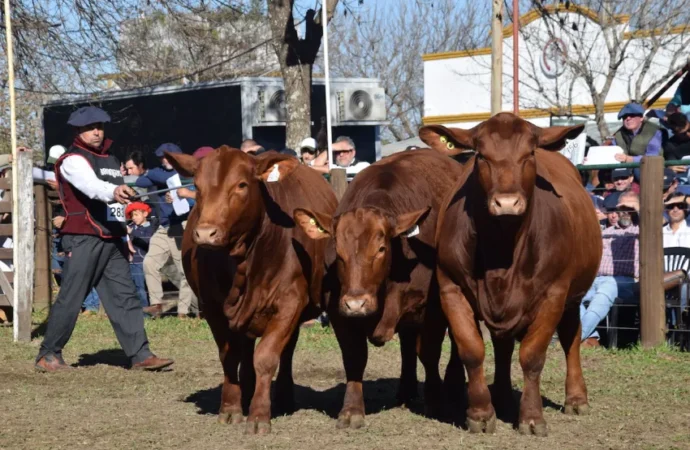 «La ganadería está pasando por un momento excelente», aseguró el presidente de la Sociedad Rural de Corrientes