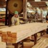 Forestal Tapebicuá SA paraliza en Corrientes sus actividades por treinta días