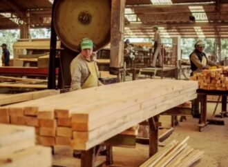 Forestal Tapebicuá SA paraliza en Corrientes sus actividades por treinta días