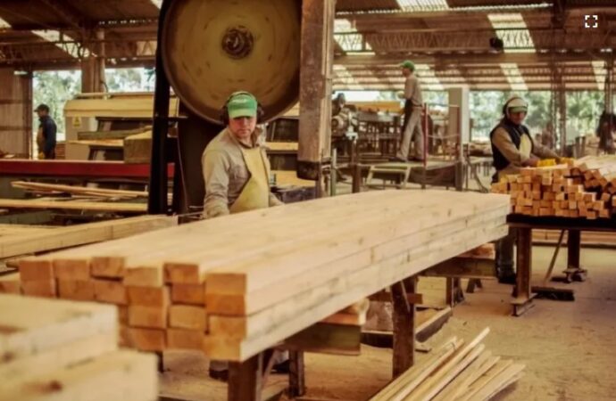 Forestal Tapebicuá SA paraliza en Corrientes sus actividades por treinta días