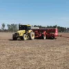 El oeste chaqueño apuesta fuerte al girasol con hasta 110.000 hectáreas implantadas