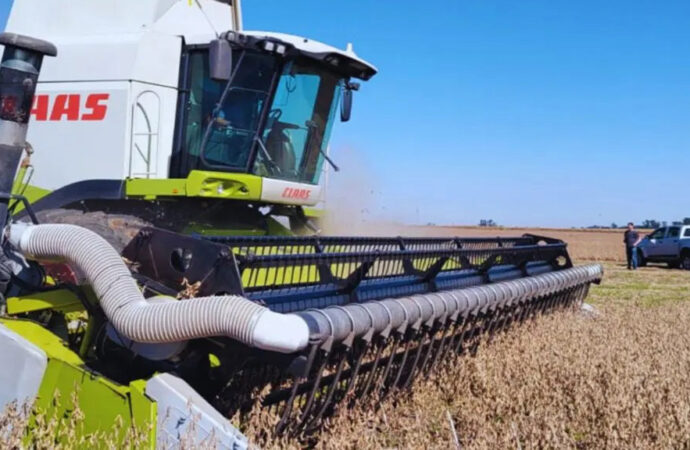 Con un sistema de aire forzado, se reducen en un 54 % las pérdidas en la cosecha