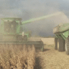 El “doble castigo” al agro argentino: costos más altos y menores ingresos respecto a sus competidores