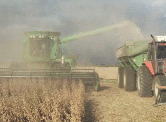 El “doble castigo” al agro argentino: costos más altos y menores ingresos respecto a sus competidores