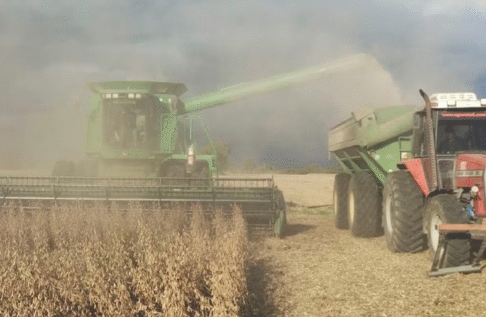El “doble castigo” al agro argentino: costos más altos y menores ingresos respecto a sus competidores