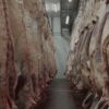 La tipificación bovina ya alcanza al 95% de la faena nacional