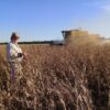 “Estamos quemando los últimos cartuchos”: productores del Chaco alertan de su precaria situación