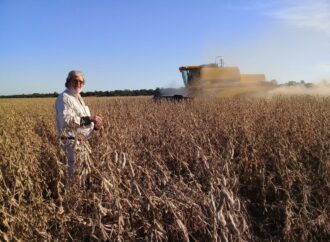 “Estamos quemando los últimos cartuchos”: productores del Chaco alertan de su precaria situación