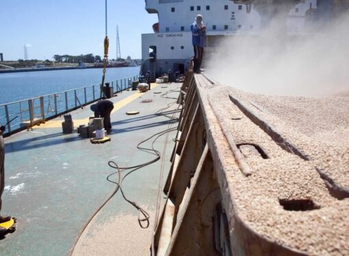 Exportaciones: el Gobierno anunció un “récord histórico” en Declaraciones Juradas