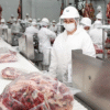 Exportaciones de carne vacuna aumentaron en agosto más del 11%