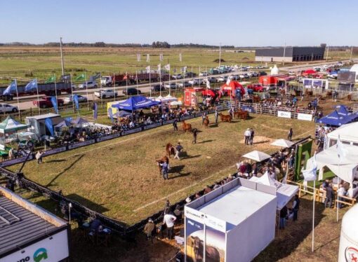 Con predio renovado, los Angus se preparan para su festejo de primavera en Cañuelas