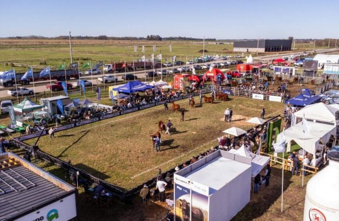 Con predio renovado, los Angus se preparan para su festejo de primavera en Cañuelas
