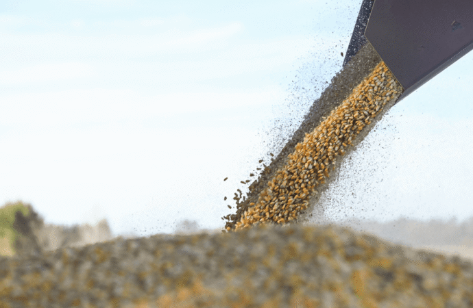 Retenciones cero: uno por uno, cuáles son los productos beneficiados