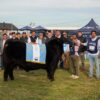 El camino de los campeones: los Angus eligieron sus reyes y reinas de la primavera