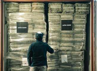 La alfalfa argentina pisa fuerte en África: San Luis concreta su primera exportación a Ghana