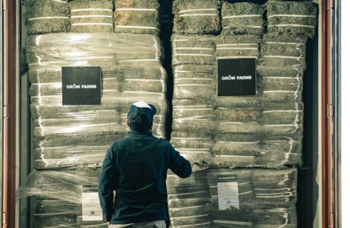 La alfalfa argentina pisa fuerte en África: San Luis concreta su primera exportación a Ghana