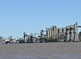 Los cultivos argentinos exhiben brechas de hasta 40% que frenan la competitividad del país