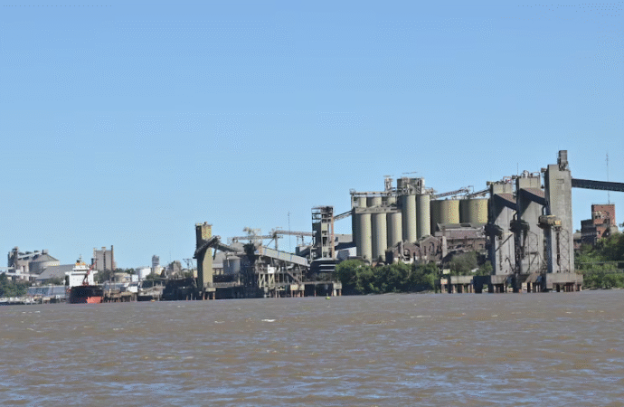 Los cultivos argentinos exhiben brechas de hasta 40% que frenan la competitividad del país