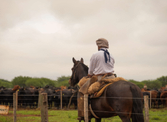 Juramento invierte 56 millones de dólares en Salta con la adquisición de campo y 16 mil cabezas de ganado