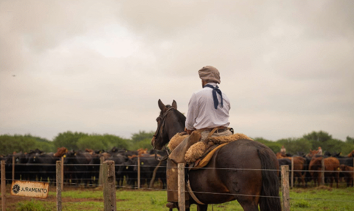Juramento invierte 56 millones de dólares en Salta con la adquisición de campo y 16 mil cabezas de ganado
