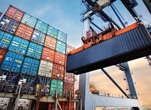Con un crecimiento de 11% en exportaciones, Misiones confirmó su liderazgo en el NEA