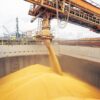 Las exportaciones de trigo fueron récord en agosto con más de 790 mil toneladas embarcadas