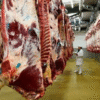 En agosto cae casi un 7% la faena bovina