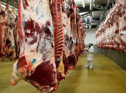 En agosto cae casi un 7% la faena bovina