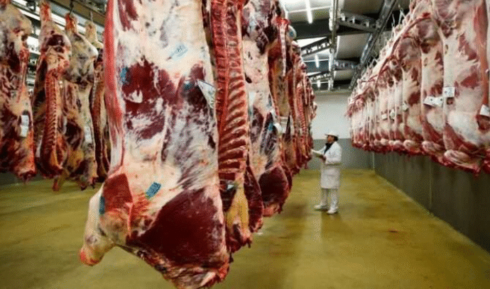 En agosto cae casi un 7% la faena bovina