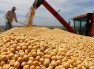 En agosto ingreso un 25% menos de divisas por el agro respecto a julio