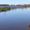 Estiman que hay más de 3 millones de hectáreas afectadas por las inundaciones en la provincia de Buenos Aires