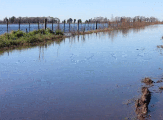 Estiman que hay más de 3 millones de hectáreas afectadas por las inundaciones en la provincia de Buenos Aires