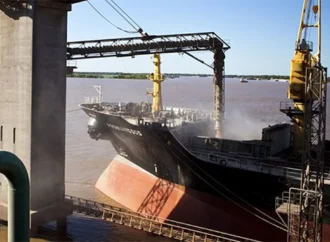 Agroexportadores liquidaron USD 1.818 millones en agosto, un 25% menos que en 2024