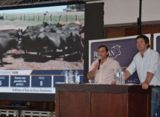 Corrientes marca tendencia en Goya con el ternero a $ 4.710 y el novillo $ 3.720