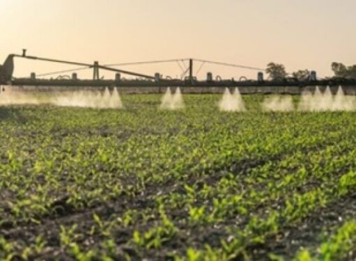 Genetista pide rechazar ley que reduce límites de agroquímicos