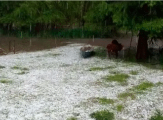 El Gobierno declaró la emergencia agropecuaria para Entre Ríos por heladas y granizos