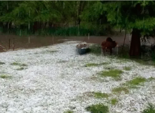 El Gobierno declaró la emergencia agropecuaria para Entre Ríos por heladas y granizos