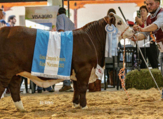Corrientes participará en la Expo Braford de Chaco con 10 cabañas