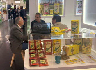 Con exportaciones en alza, la yerba mate se promociona en Alemania
