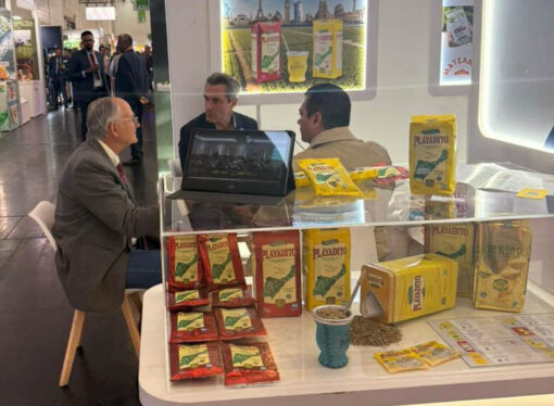 Con exportaciones en alza, la yerba mate se promociona en Alemania
