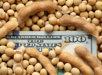 Retenciones cero: un informe económico afirma que parte del beneficio llegó a los productores