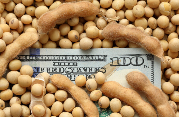 Retenciones cero: un informe económico afirma que parte del beneficio llegó a los productores