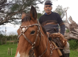 “Son unos asesinos”: la desazón de un productor correntino al que le mataron 11 vacas a tiros en la costa del río Uruguay