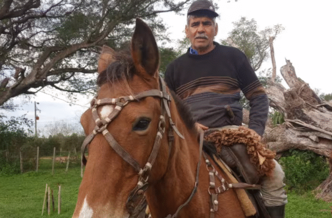 “Son unos asesinos”: la desazón de un productor correntino al que le mataron 11 vacas a tiros en la costa del río Uruguay
